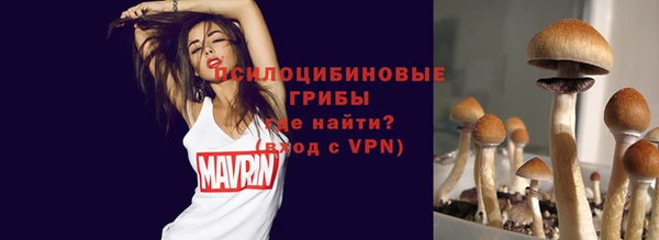 ГАЛЛЮЦИНОГЕННЫЕ ГРИБЫ Алексин