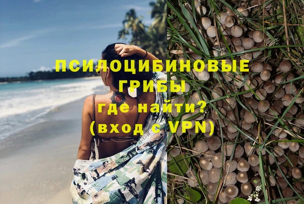 шишки Алексеевка