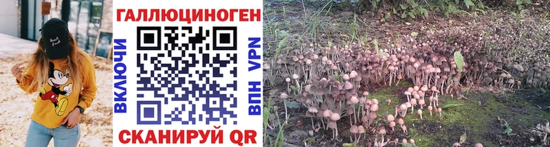 Галлюциногенные грибы Cubensis  Анадырь 